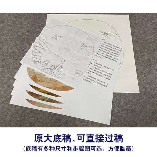 【有步骤、大彩图】李晓明工笔画白描底稿圆形小品《出水芙蓉图》荷花初学者临摹花鸟线稿KC28 商品图1