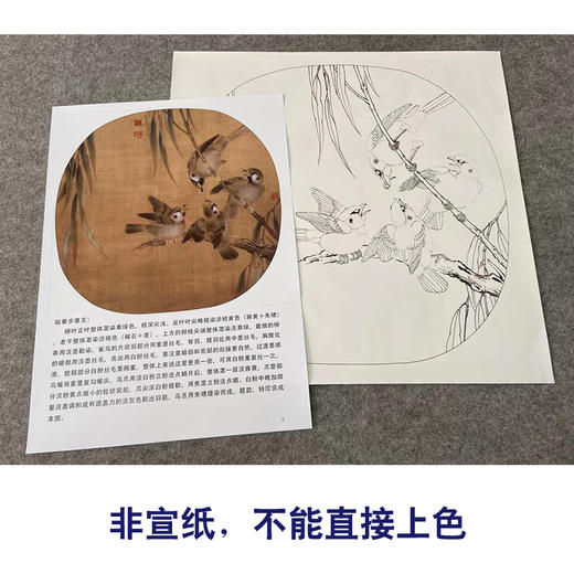 【有步骤、大彩图】李晓明工笔画白描底稿圆形小品《临宋杨柳乳雀图》柳叶雀鸟初学者临摹花鸟线稿KC12 商品图2