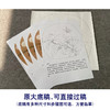 【有步骤、大彩图】李晓明工笔画白描底稿圆形小品《茶花蝴蝶图》初学者临摹花鸟线稿KC01 商品缩略图1
