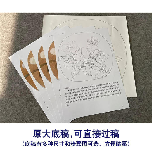 【有步骤、大彩图】李晓明工笔画白描底稿圆形小品《茶花蝴蝶图》初学者临摹花鸟线稿KC01 商品图1