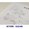【有步骤、大彩图】李晓明工笔画白描底稿斗方《睡莲金龙鱼》荷花临摹勾线花鸟线稿KB29 商品缩略图4