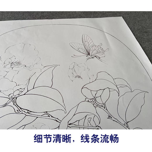 李晓明山茶蝴蝶图2图片