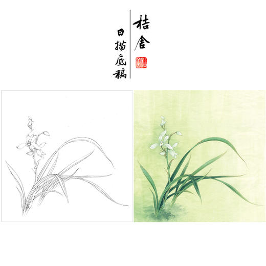 【有步骤、大彩图】李晓明工笔画白描底稿斗方小品《兰花图》初学者高清打印稿KB20 商品图0