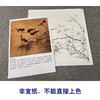 【有步骤、大彩图】李晓明工笔花鸟画白描底稿《临宋雪竹寒雏图》-斗方小品册页-KC14 商品缩略图2
