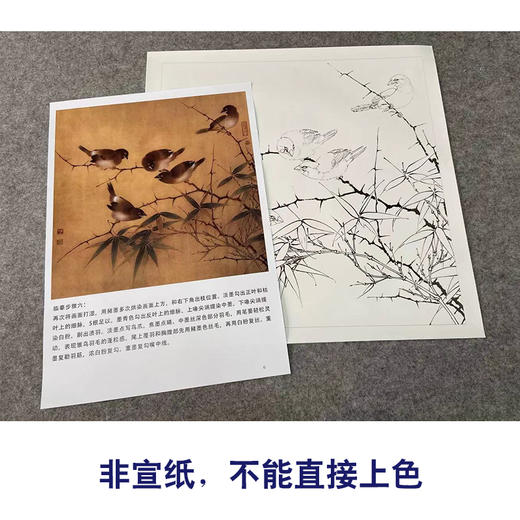 【有步骤、大彩图】李晓明工笔花鸟画白描底稿《临宋雪竹寒雏图》-斗方小品册页-KC14 商品图2