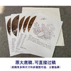 【有步骤、大彩图】李晓明工笔画白描底稿圆形小品《临宋菊丛飞蝶图》菊花蝴蝶初学者临摹花鸟线稿KC05 商品缩略图1