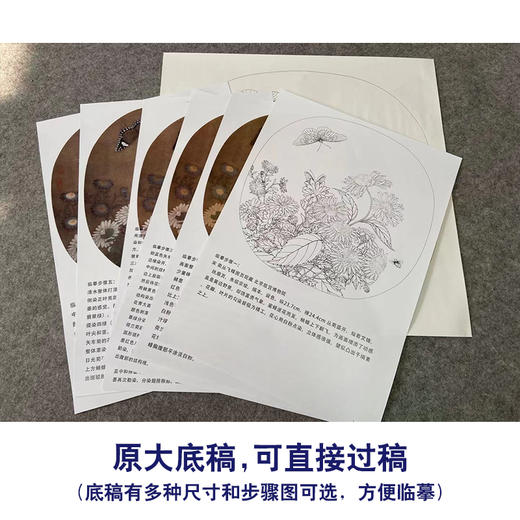 【有步骤、大彩图】李晓明工笔画白描底稿圆形小品《临宋菊丛飞蝶图》菊花蝴蝶初学者临摹花鸟线稿KC05 商品图1