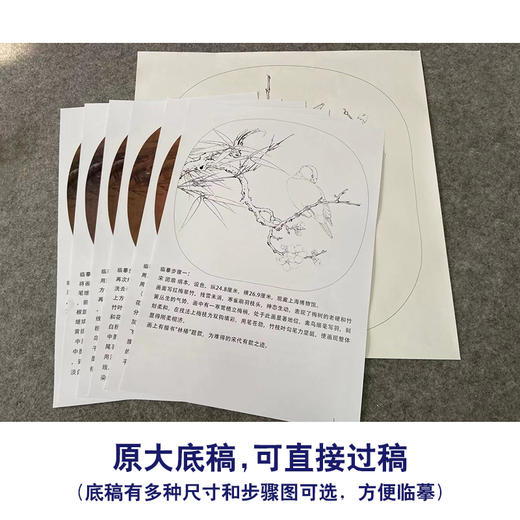 【有步骤、大彩图】李晓明工笔画白描底稿圆形小品《临宋林椿梅竹寒禽图》梅花禽鸟初学者临摹花鸟线稿KC06 商品图1