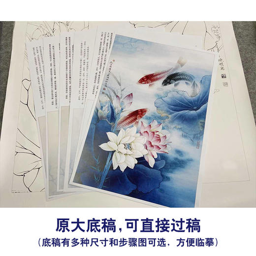 【有步骤、大彩图】李晓明工笔画白描稿斗方小品《连年有余图》荷花鲤鱼临摹勾线花鸟线稿KB21 商品图1