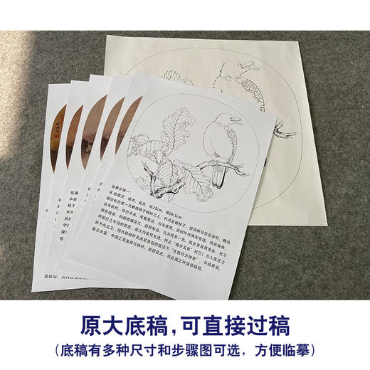 【有步骤、大彩图】李晓明工笔画白描底稿圆形小品《临宋枯树八哥图》初学者临摹花鸟线稿KC03 商品图1