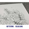【有步骤、大彩图】李晓明工笔画白描底稿小品《新雨后》紫藤花临摹勾线花鸟线稿KB04 商品缩略图4