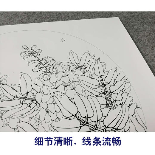 【有步骤、大彩图】李晓明工笔画白描底稿小品《新雨后》紫藤花临摹勾线花鸟线稿KB04 商品图4