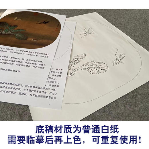 【有步骤、大彩图】李晓明工笔画白描底稿小品《临宋野蔬草虫图》白菜初学者临摹花鸟线稿KC10 商品图3