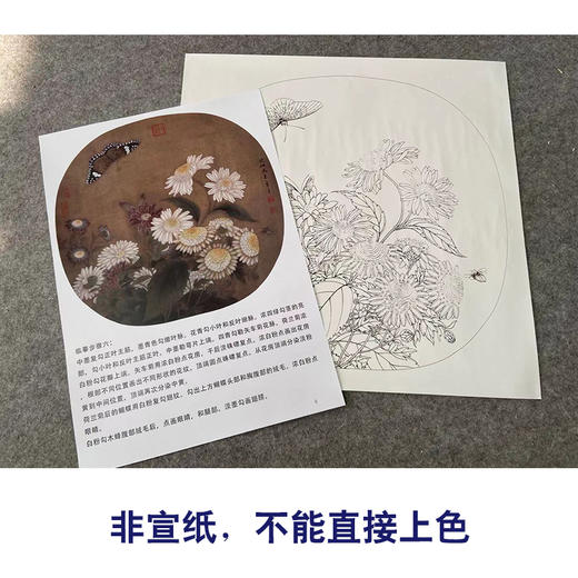 【有步骤、大彩图】李晓明工笔画白描底稿圆形小品《临宋菊丛飞蝶图》菊花蝴蝶初学者临摹花鸟线稿KC05 商品图2