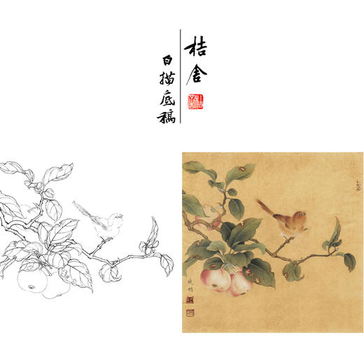 【有步骤、大彩图】李晓明工笔画白描底稿斗方小品《果熟来禽图》山雀桃枝临摹花鸟线稿KC29 商品图0