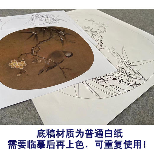 【有步骤、大彩图】李晓明工笔画白描底稿圆形小品《临宋林椿梅竹寒禽图》梅花禽鸟初学者临摹花鸟线稿KC06 商品图3