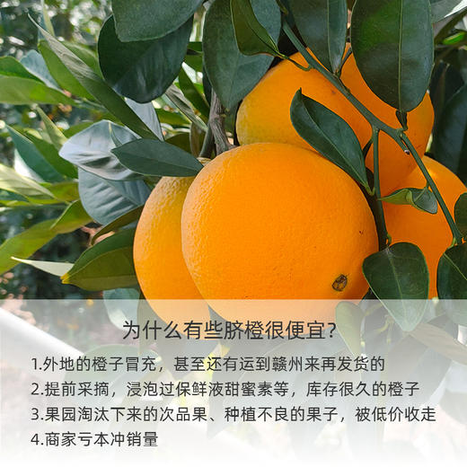 正宗赣南脐橙江西赣州橙子新鲜10斤装产地直发整箱当季水果（零下15度地区选择加保温袋） 商品图1