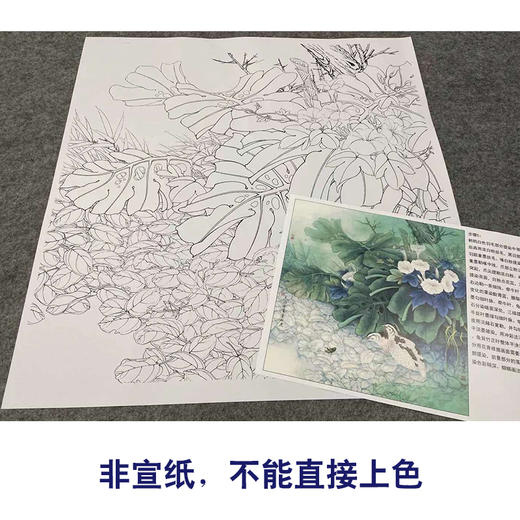 【有步骤、大彩图】李晓明工笔画白描底稿斗方小品《安居乐业图》牵牛花初学者临摹花鸟线稿KB26 商品图2