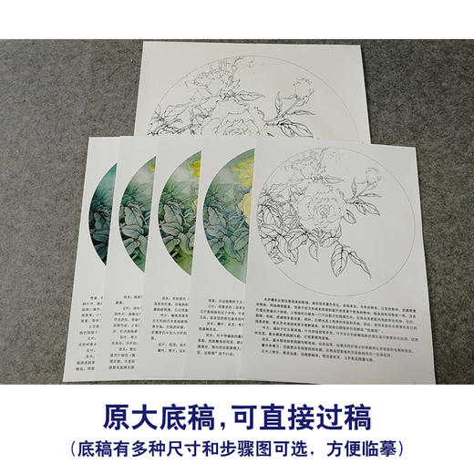 【有步骤、大彩图】李晓明工笔画白描底稿圆形小品《月季写真图》月季临摹勾线花鸟线稿KB05 商品图1