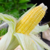 【云南水果玉米】皮薄脆嫩、颗粒饱满、口感鲜甜、健康营养 商品缩略图3