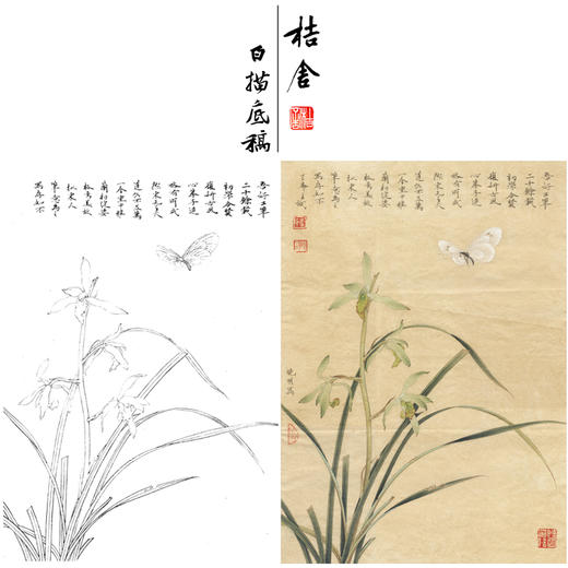 【有步骤、大彩图】李晓明工笔画白描底稿《春兰嬉蝶图》蝴蝶兰花临摹勾线花鸟线稿KB24 商品图0