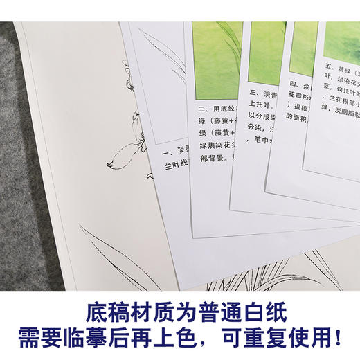 【有步骤、大彩图】李晓明工笔画白描底稿斗方小品《兰花图》初学者高清打印稿KB20 商品图3