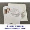 【有步骤、大彩图】李晓明工笔画白描底稿小品《临宋野卉秋鹑图》鹌鹑初学者临摹花鸟线稿KC09 商品缩略图1