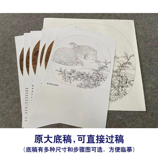 【有步骤、大彩图】李晓明工笔画白描底稿小品《临宋野卉秋鹑图》鹌鹑初学者临摹花鸟线稿KC09 商品图1