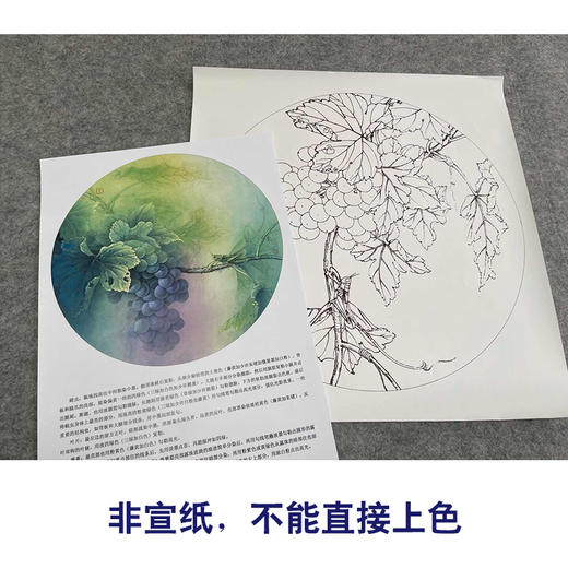 【有步骤、大彩图】李晓明工笔画白描底稿圆形《蝗虫葡萄图》临摹勾线高清打印稿 KB03 商品图2