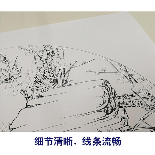 【有步骤、大彩图】李晓明工笔画白描底稿扇面《梅花》初学者临摹花鸟线稿KB39 商品图4