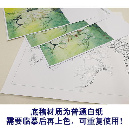 【有步骤、大彩图】李晓明工笔画白描底稿斗方小品《梨花小品》初学者高清打印稿 KB28 商品图3