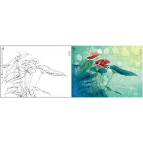 【有步骤、大彩图】李晓明工笔画白描底稿小品《红掌写生图》初学者临摹花鸟线稿KB12