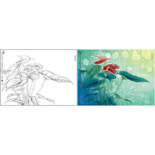 有步骤大彩图李晓明工笔花鸟画白描底稿红掌写生图斗方小品册页kb12