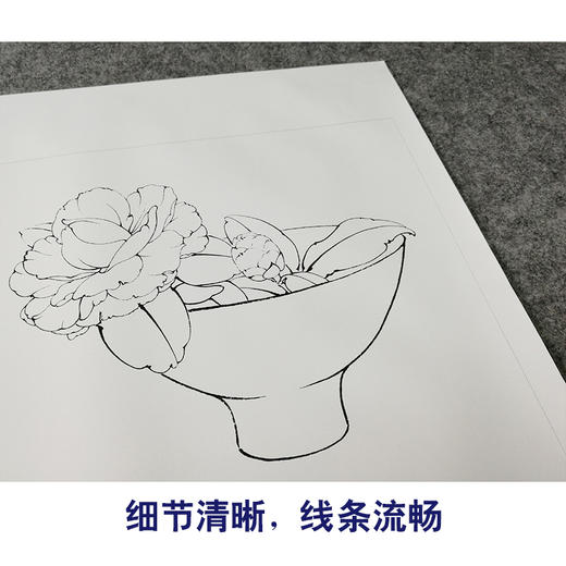 【有步骤、大彩图】李晓明工笔画白描底稿斗方小品《茶花写生图》初学者临摹勾线花鸟线稿KB11 商品图4