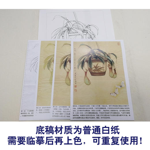 【有步骤、大彩图】李晓明工笔画白描底稿《悟宋系列和风》猪笼草初学者临摹花鸟线稿KB38 商品图3