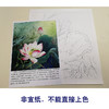 【有步骤、大彩图】李晓明工笔画白描底稿小品《粉荷清幽》荷花临摹勾线花鸟线稿KB19 商品缩略图2