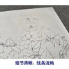 【有步骤、大彩图】李晓明工笔画白描底稿圆形小品《临宋葡萄草虫图》葡萄蜻蜓临摹勾线花鸟线稿KC11 商品缩略图4