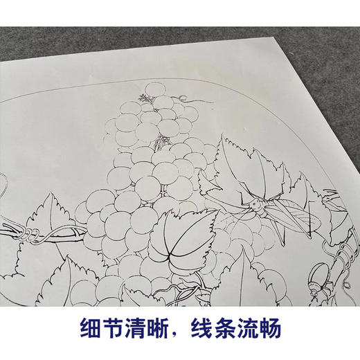 【有步骤、大彩图】李晓明工笔画白描底稿圆形小品《临宋葡萄草虫图》葡萄蜻蜓临摹勾线花鸟线稿KC11 商品图4