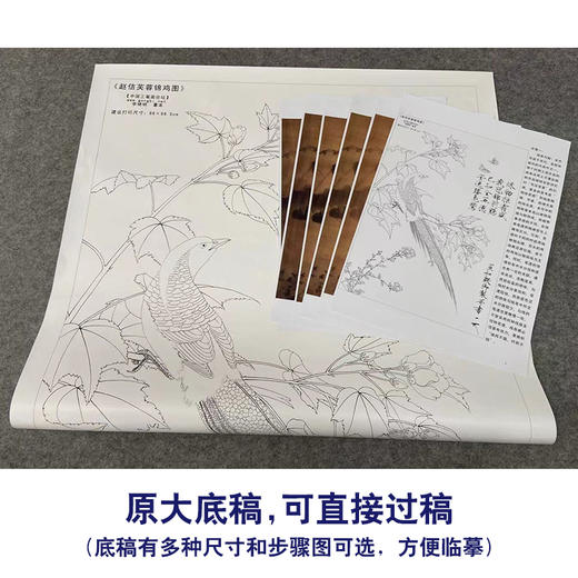 【有步骤、大彩图】李晓明工笔画白描底稿《临宋芙蓉锦鸡图》锦鸡蝴蝶初学者临摹花鸟线稿KC22 商品图1