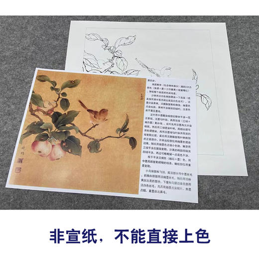【有步骤、大彩图】李晓明工笔画白描底稿斗方小品《果熟来禽图》山雀桃枝临摹花鸟线稿KC29 商品图2