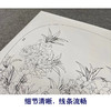 【有步骤、大彩图】李晓明工笔画白描底稿圆形小品《临宋碧桃图》桃花初学者临摹花鸟线稿KC27 商品缩略图4