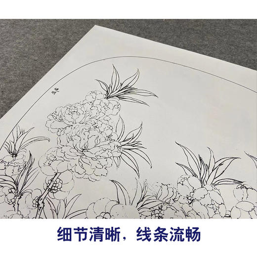 【有步骤、大彩图】李晓明工笔画白描底稿圆形小品《临宋碧桃图》桃花初学者临摹花鸟线稿KC27 商品图4