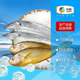 【预售】【顺丰包邮】中粮凌鲜 冰鲜东海海钓2带鱼2黄鱼组合每周二、周五发货