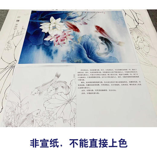 【有步骤、大彩图】李晓明工笔画白描稿斗方小品《连年有余图》荷花鲤鱼临摹勾线花鸟线稿KB21 商品图2