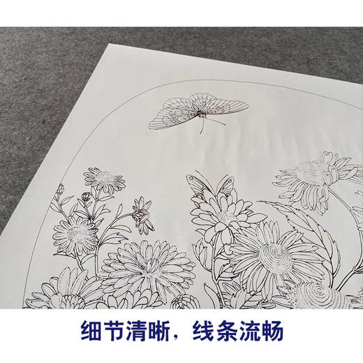 【有步骤、大彩图】李晓明工笔画白描底稿圆形小品《临宋菊丛飞蝶图》菊花蝴蝶初学者临摹花鸟线稿KC05 商品图4