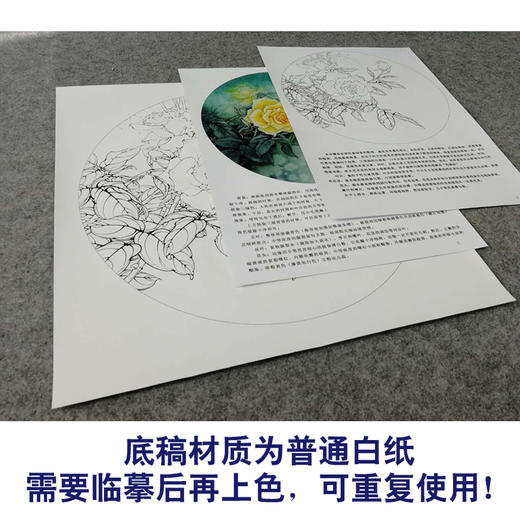 【有步骤、大彩图】李晓明工笔画白描底稿圆形小品《月季写真图》月季临摹勾线花鸟线稿KB05 商品图3