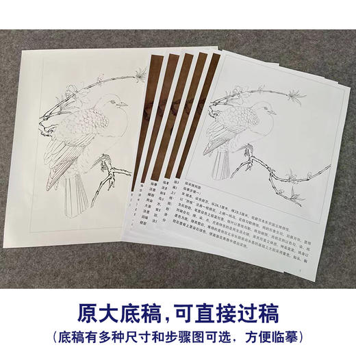 【有步骤、大彩图】李晓明工笔画白描底稿斗方小品《临宋桃鸠图》桃花斑鸠初学者临摹花鸟线稿KC16 商品图1