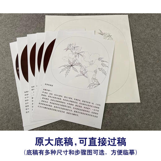【有步骤、大彩图】李晓明工笔画白描底稿圆形小品《临宋秋葵图》秋葵花初学者临摹花鸟线稿KC07 商品图1