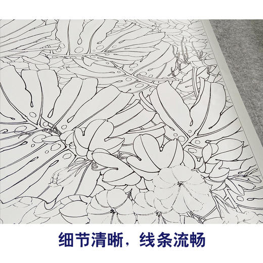 【有步骤、大彩图】李晓明工笔画白描底稿斗方《白鹇龟背竹》初学者高清打印稿KB27 商品图4