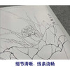【有步骤、大彩图】李晓明工笔白描底稿斗方小品《鸳鸯荷花图》初学者临摹花鸟线稿KB08 商品缩略图4
